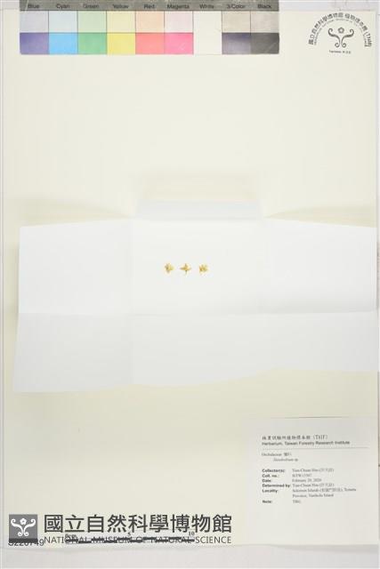 登錄號:S220749藏品圖，第1張