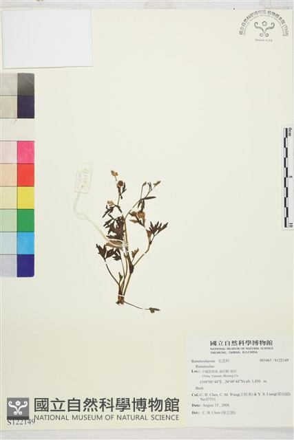 登錄號:S122149藏品圖，第1張