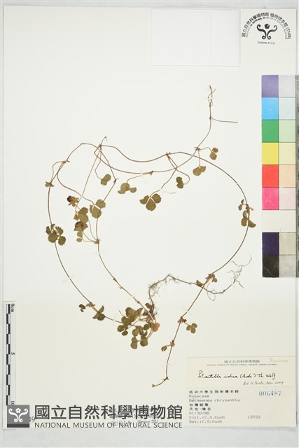 登錄號:S169349藏品圖，第1張