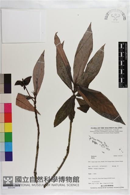 登錄號:S203349藏品圖，第1張