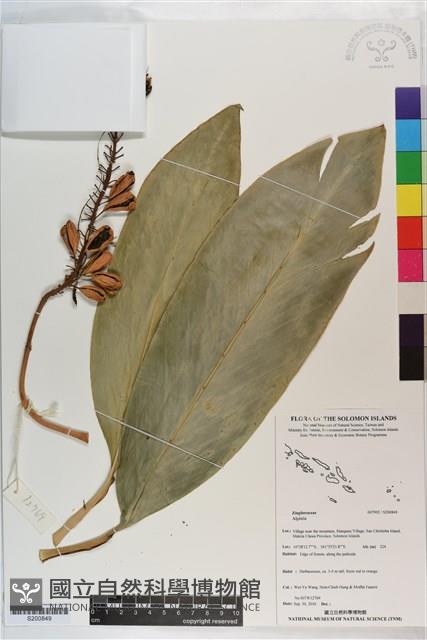 登錄號:S200849藏品圖，第1張