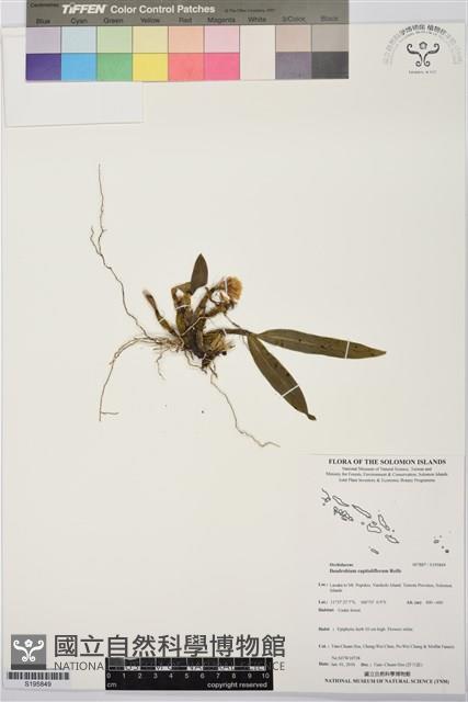 登錄號:S195849藏品圖，第1張