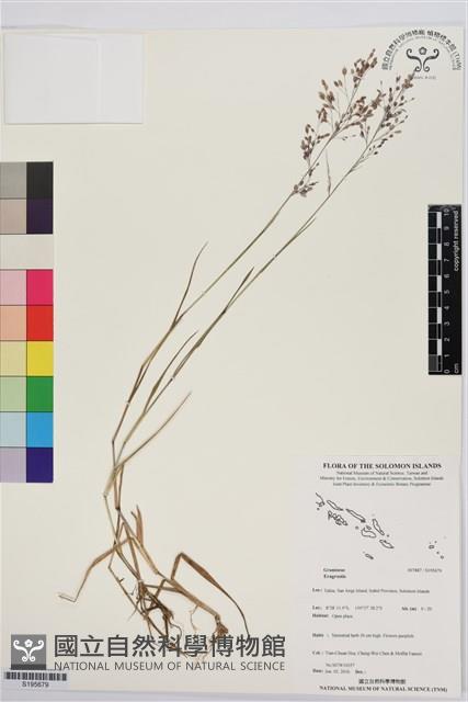登錄號:S195679藏品圖，第1張