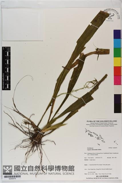 登錄號:S200079藏品圖，第1張