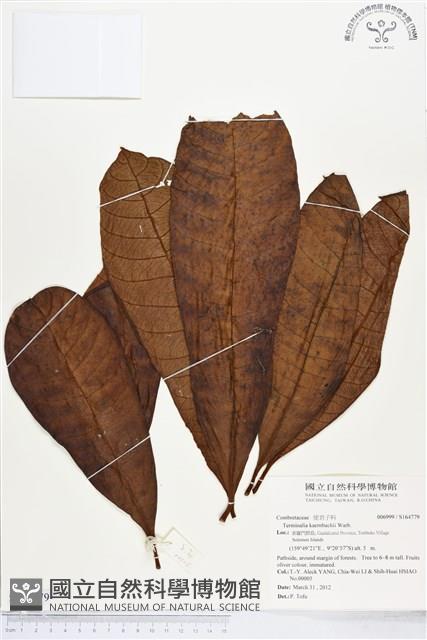 登錄號:S164779藏品圖，第1張