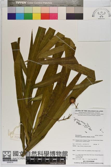 登錄號:S200279藏品圖，第1張