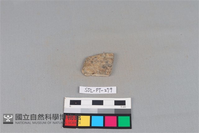 陶片藏品圖，第1張