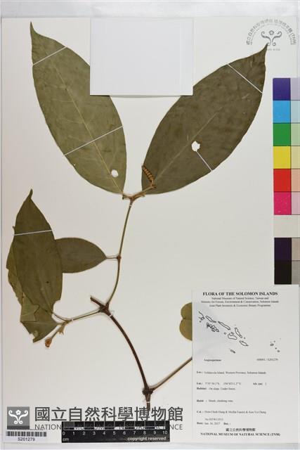 登錄號:S201279藏品圖，第1張