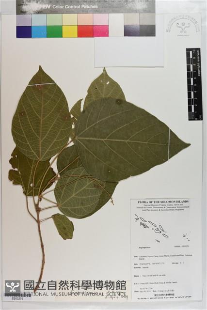 登錄號:S203279藏品圖，第1張