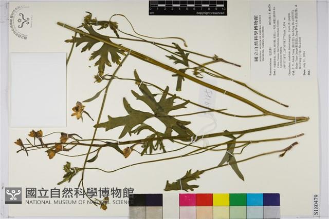 登錄號:S180479藏品圖，第1張