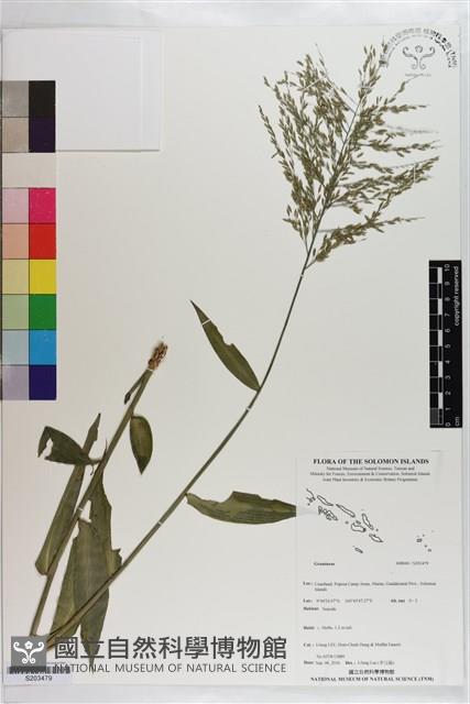 登錄號:S203479藏品圖，第1張