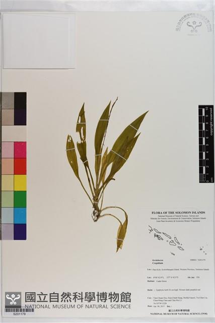 登錄號:S201179藏品圖，第1張