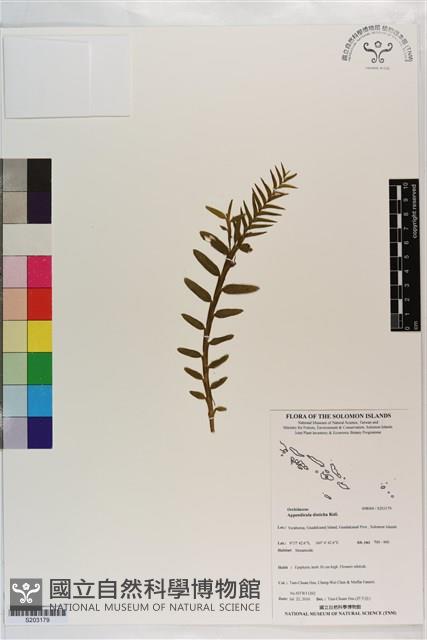 登錄號:S203179藏品圖，第1張