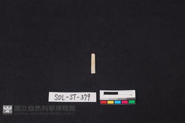 玉飾藏品圖，第1張