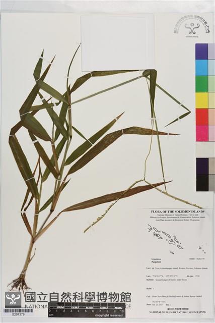 登錄號:S201379藏品圖，第1張