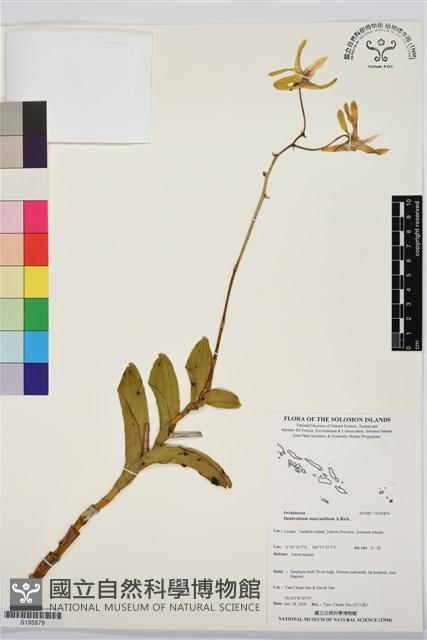 登錄號:S195879藏品圖，第1張