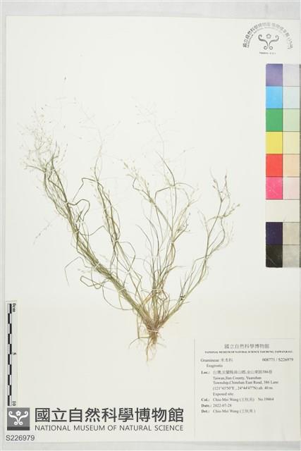 登錄號:S226979藏品圖，第1張