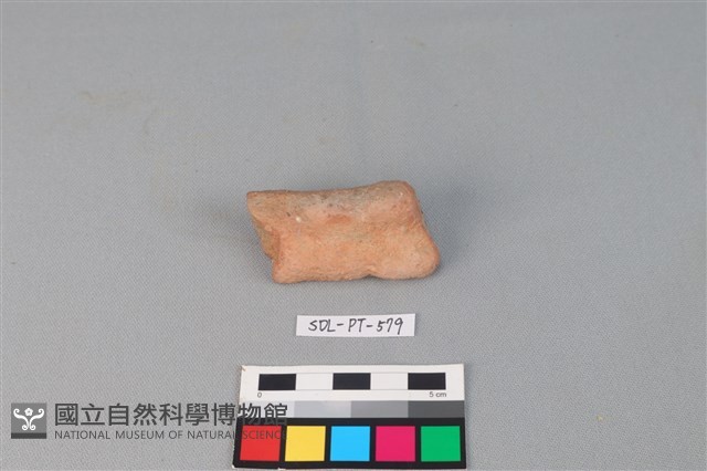 陶網墜藏品圖，第1張