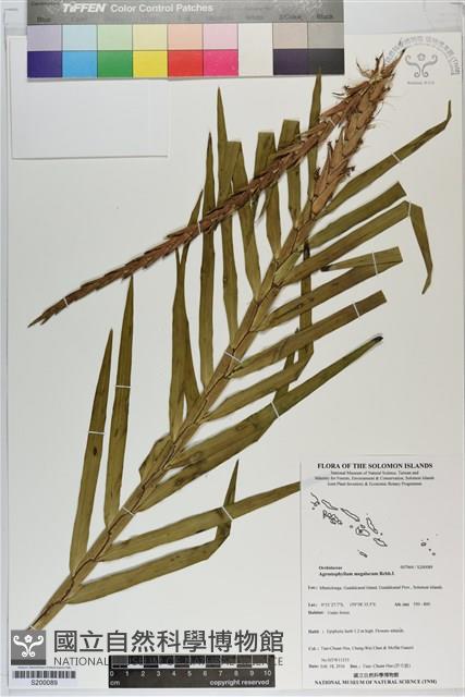 登錄號:S200089藏品圖，第1張