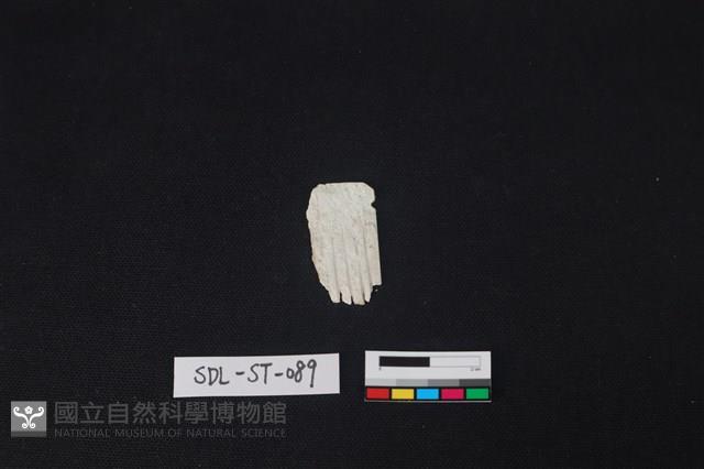 玉飾藏品圖，第1張
