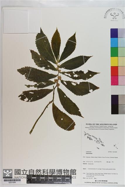 登錄號:S201089藏品圖，第1張