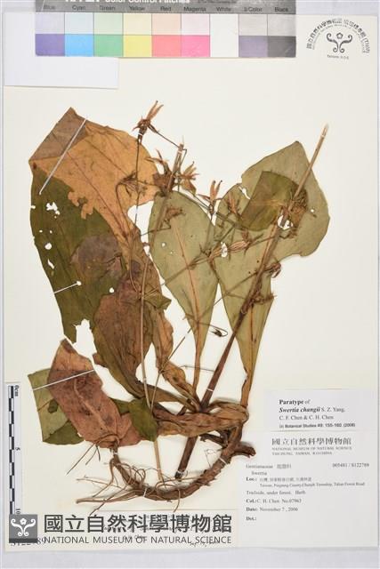 大漢山當藥藏品圖，第1張