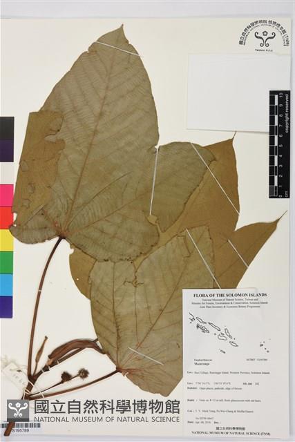 登錄號:S195789藏品圖，第1張