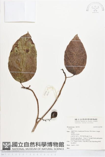 登錄號:S164789藏品圖，第1張