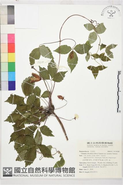 登錄號:S150289藏品圖，第4張