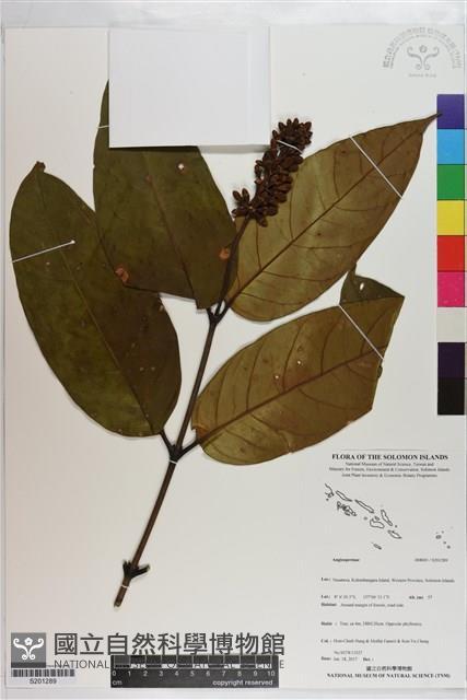 登錄號:S201289藏品圖，第1張