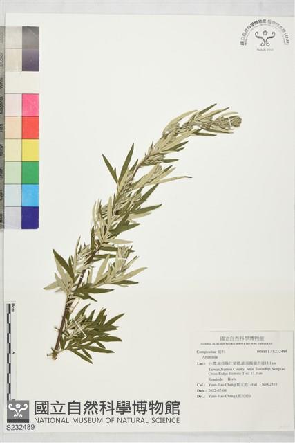 登錄號:S232489藏品圖，第1張