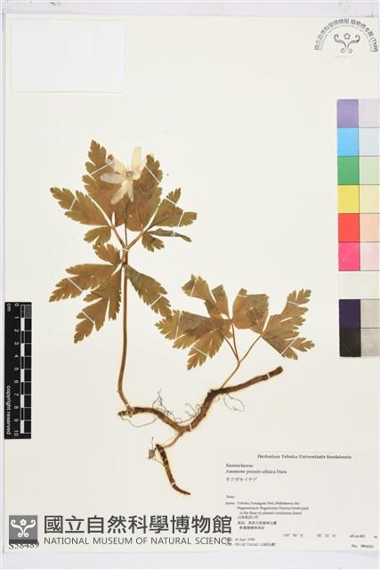 登錄號:S058489藏品圖，第1張