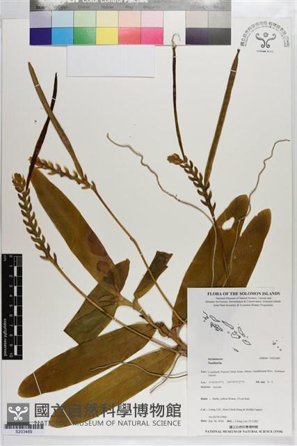 登錄號:S203489藏品圖，第1張