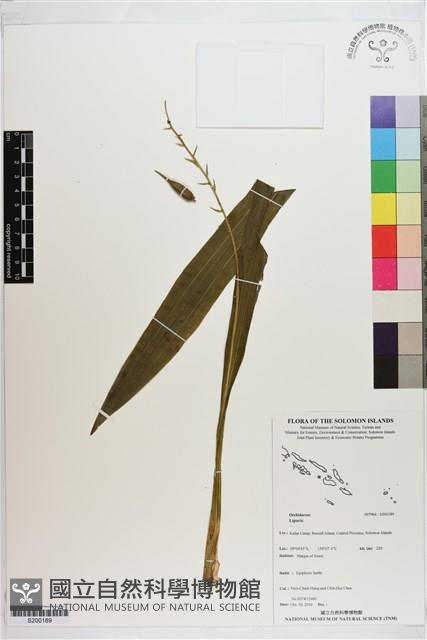 登錄號:S200189藏品圖，第1張