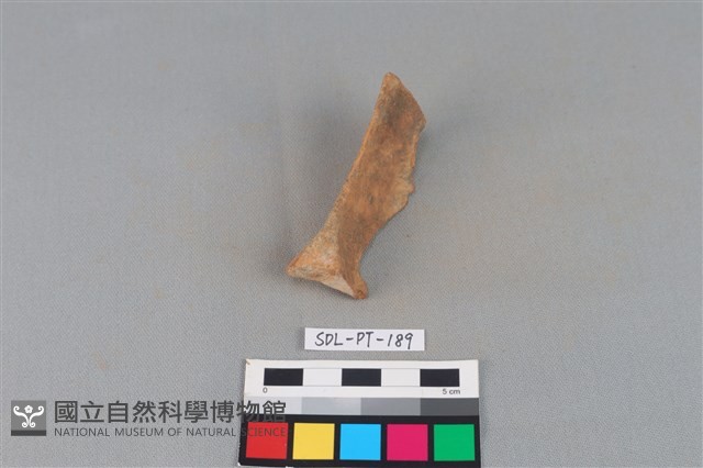 連杯形器藏品圖，第1張