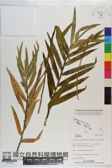 登錄號:S201189藏品圖，第1張