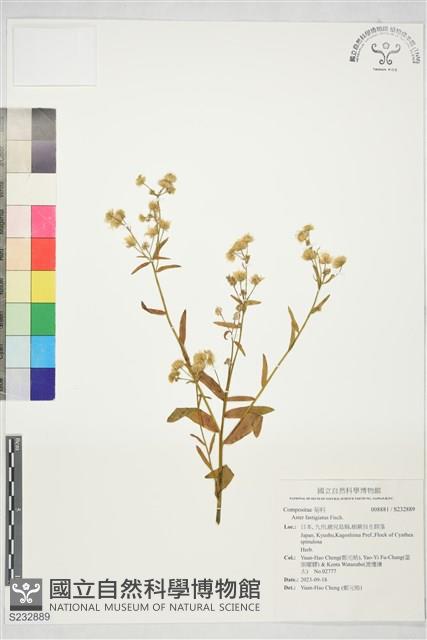 登錄號:S232889藏品圖，第1張