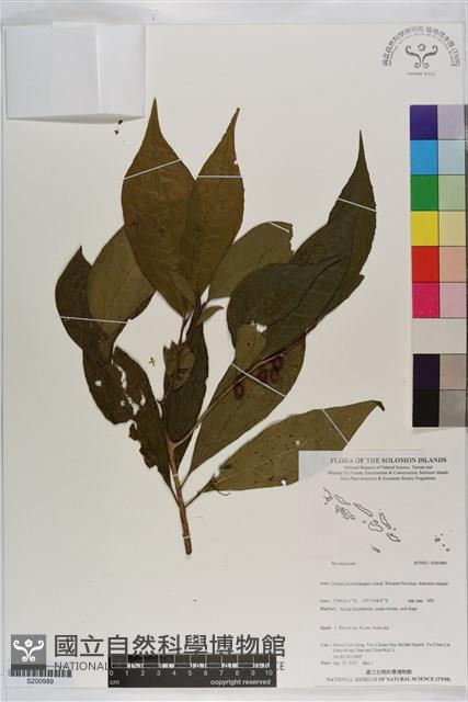 登錄號:S200989藏品圖，第1張