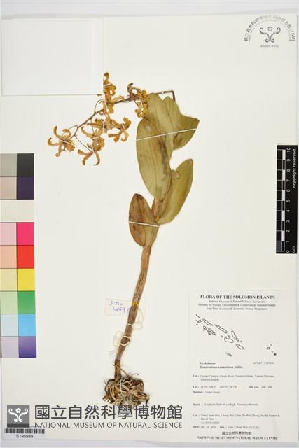 登錄號:S195989藏品圖，第1張