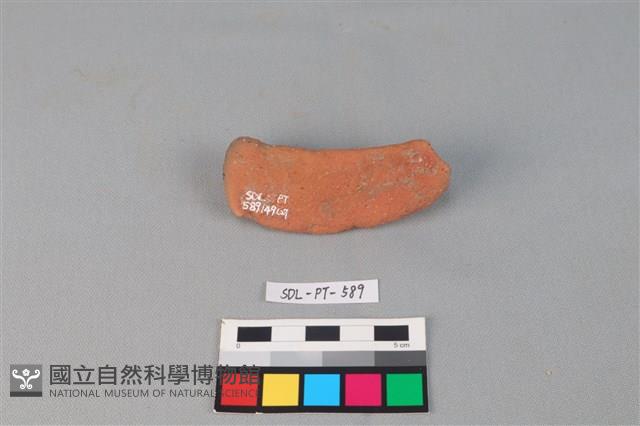 Accession Number:SDL-PT-589 Collection Image, Figure 1, Total 3 Figures