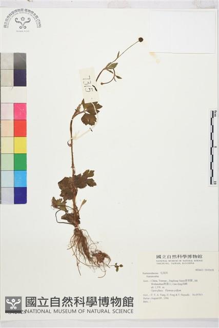 登錄號:S042628藏品圖，第1張