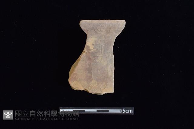 陶片藏品圖，第1張