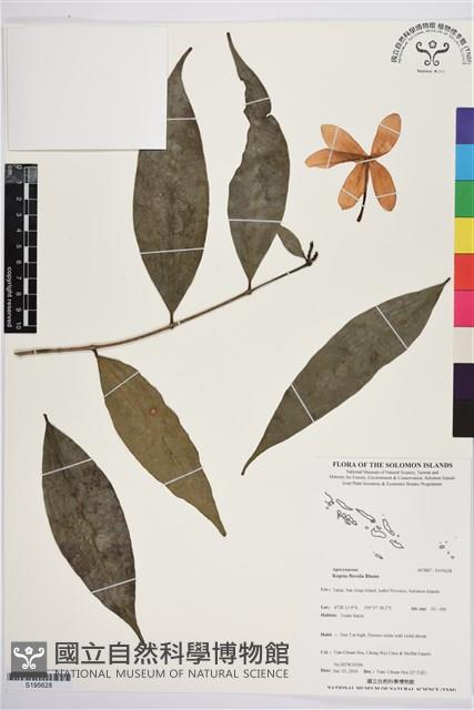 登錄號:S195628藏品圖，第1張