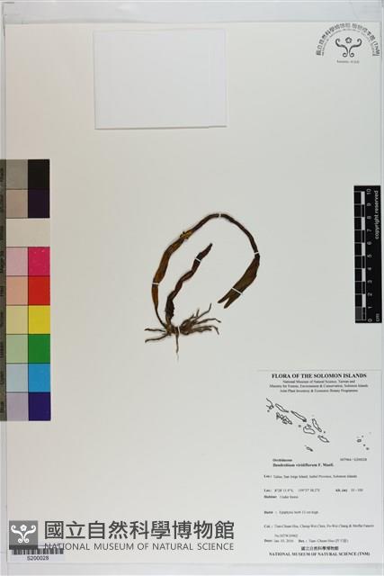 登錄號:S200028藏品圖，第1張