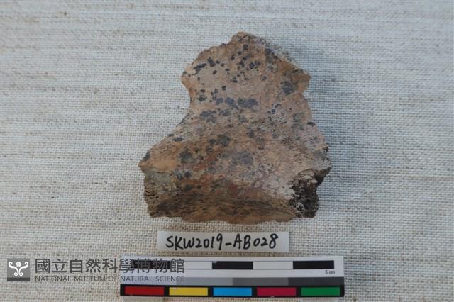 獸骨藏品圖，第1張