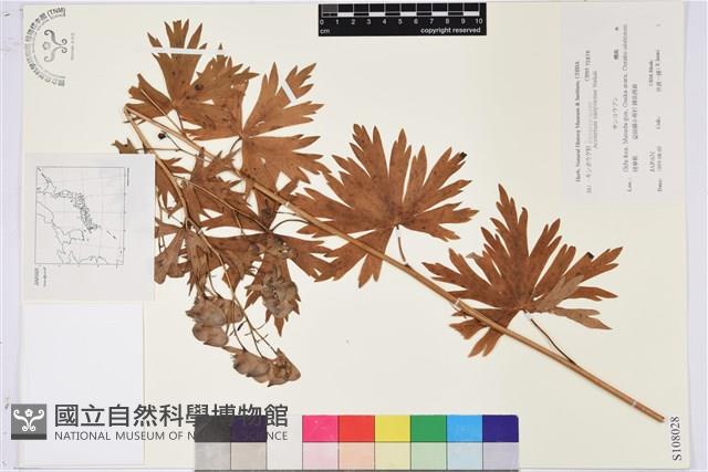 登錄號:S108028藏品圖，第1張