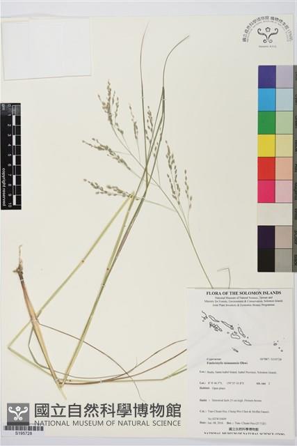 登錄號:S195728藏品圖，第1張