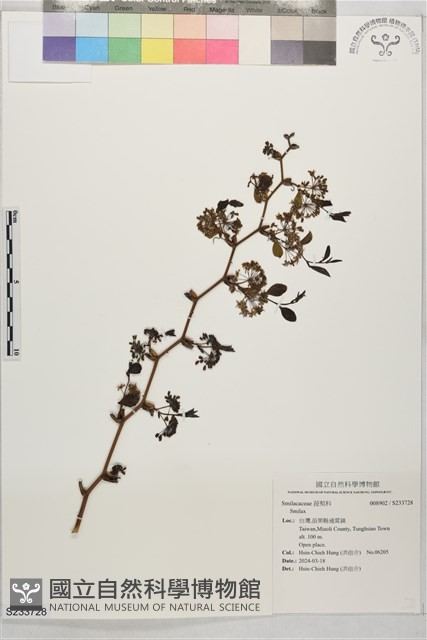 登錄號:S233728藏品圖，第1張