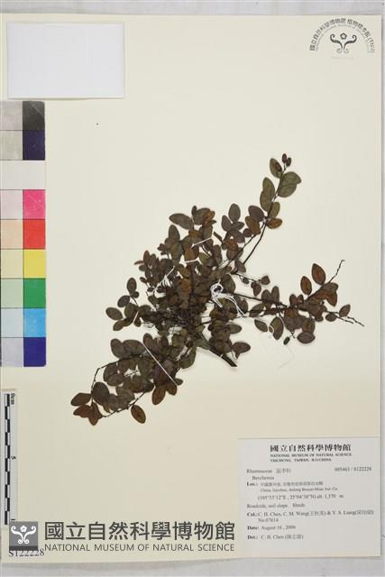 登錄號:S122228藏品圖，第1張