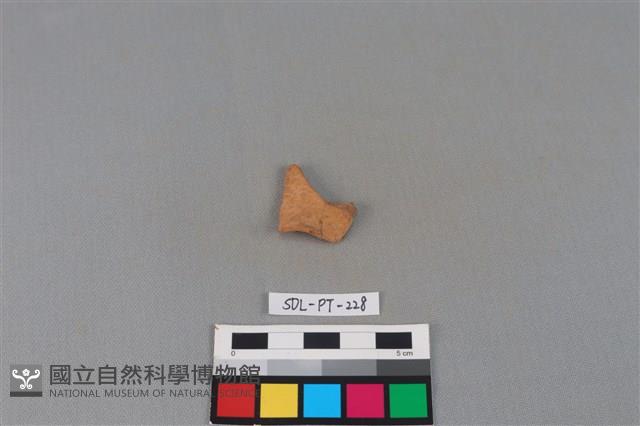 陶片藏品圖，第1張